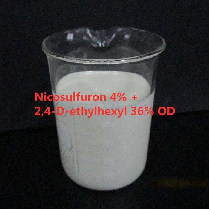 Sodium Dithionite High-Purity Reducing Agent & Bleaching Solutions