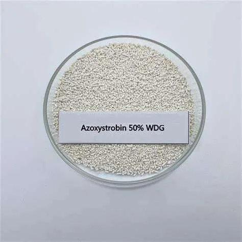 Azoxystrobin 2SC Fungicide | Broad-Spectrum Systemic
