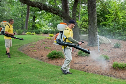 Glyphosate
