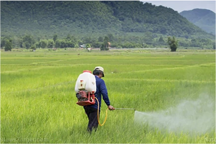 mesotrione weed killer